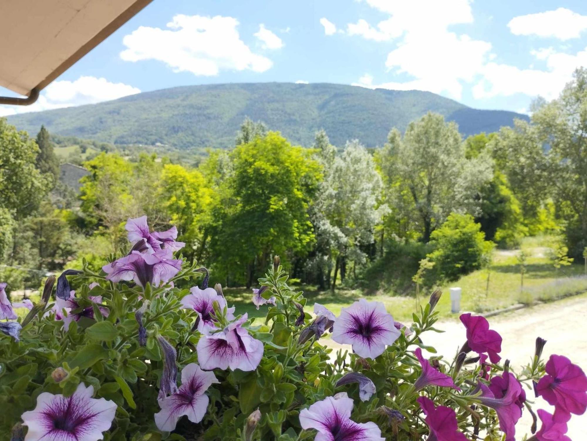 Pianpieve Nature & Relax Apartments Assisi Eksteriør billede