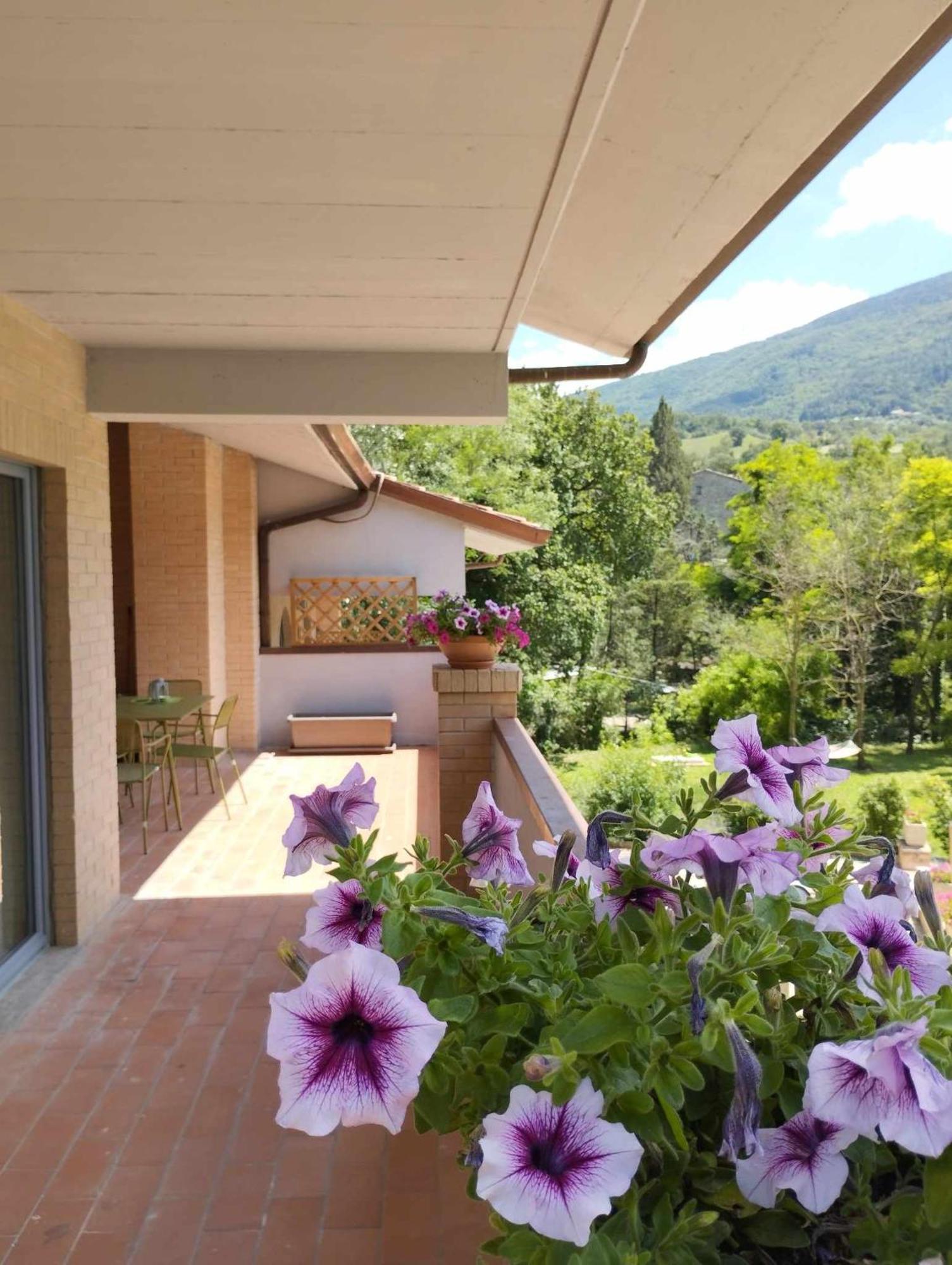 Pianpieve Nature & Relax Apartments Assisi Eksteriør billede