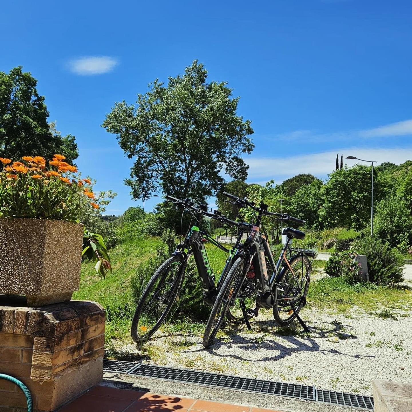 Pianpieve Nature & Relax Apartments Assisi Eksteriør billede